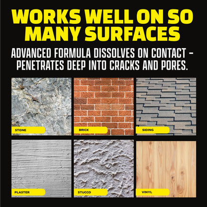 Heavy-Duty Industrial Stain Dissolver Spray, Instantly Remove Mold, Mildew & Tough Grime, Works Indoor & Outdoor for Brick, Driveway, Siding, Bathtubs, Fences, Ceilings, Sidewalks